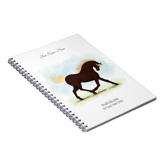 Rocky Mountain Horse Persoonlijk Eigenaarsjournaal Notitieboek (Rechterzijde)