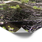 Rocky Mountain Horse Ride Poster (Hoek)