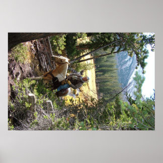 Rocky Mountain Horse Ride Poster