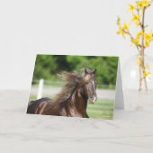 Rocky Mountain Horse Stallion Headshot Kaart (Gele Bloem)