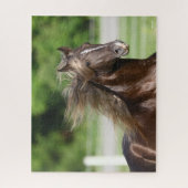 Rocky Mountain Horse Stallion Headshot Legpuzzel (Verticaal)