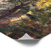 Rocky Mountain Landscape Foto Natuur Wall Poster (Hoek)