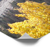 Rocky Mountain Landscape Foto Natuur Wall Poster (Hoek)