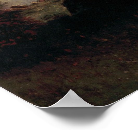 Rocky Mountain Landscape Poster (Hoek)