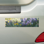 Rocky Mountain Lupine Bumpersticker (Op auto)