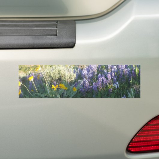 Rocky Mountain Lupine Bumpersticker (Op auto)