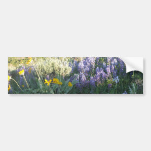 Rocky Mountain Lupine Bumpersticker