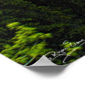 Rocky Mountain Magic Wilderness & Wildlife Art Poster (Hoek)