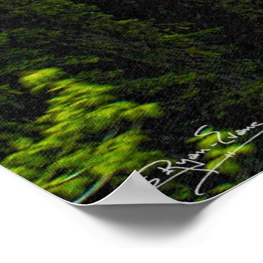 Rocky Mountain Magic Wilderness & Wildlife Art Poster (Hoek)