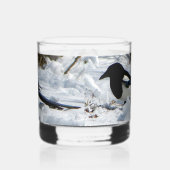 Rocky Mountain Magpie glas (Rechts)