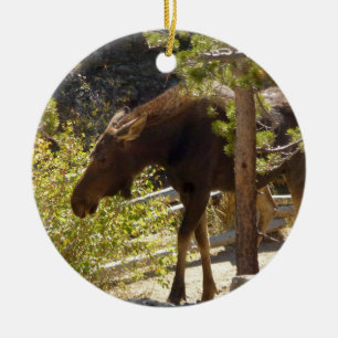 Rocky Mountain Moose Natuur fotografie Keramisch Ornament
