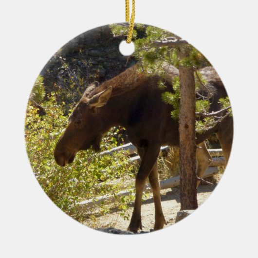 Rocky Mountain Moose Natuur fotografie Keramisch Ornament (Voorkant)
