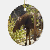 Rocky Mountain Moose Natuur fotografie Keramisch Ornament (Links)