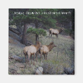 Rocky Mountain National Park magneten (Voorkant)