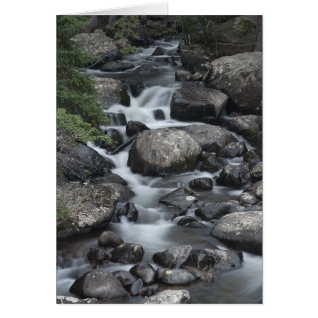 Rocky Mountain National Park Stream Card (Voorkant)