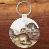 Rocky Mountain Neotoma Mouse (Neotoma Drummondii) Sleutelhanger (Voorkant)