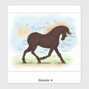 Rocky Mountain Paard Ruitersport Anatomie Grafiek Sticker