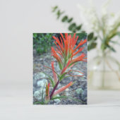 Rocky Mountain Park Briefkaart (Staand voorkant)