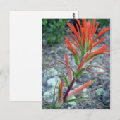 Rocky Mountain Park Briefkaart (Voorkant / Achterkant)