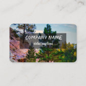 Rocky Mountain pijnbomen natuur foto Visitekaartje (Voorkant)