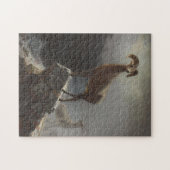 Rocky Mountain Sheep of Big Horn, Ovis, Montana, c Legpuzzel (Horizontaal)
