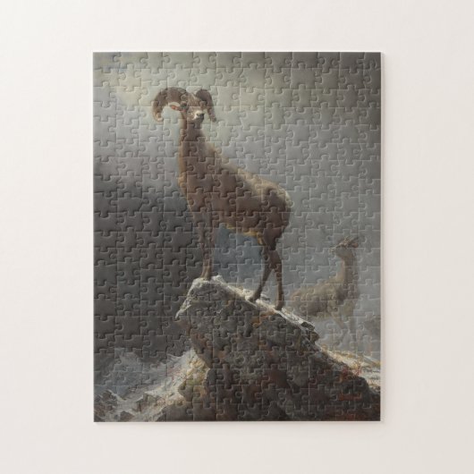 Rocky Mountain Sheep of Big Horn, Ovis, Montana, c Legpuzzel (Verticaal)