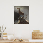 Rocky Mountain Sheep of Big Horn, Ovis, Montana, c Poster (Keuken)