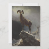 Rocky Mountain Sheep van Albert Bierstadt Feestdagenkaart (Voorkant)
