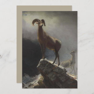Rocky Mountain Sheep van Albert Bierstadt Feestdagenkaart