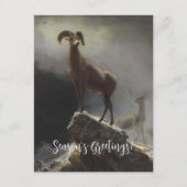 Rocky Mountain Sheep van Albert Bierstadt Feestdagenkaart (Voorkant)