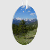 Rocky Mountain Uitzicht Schilderachtig Landschap Ornament (voorkant)