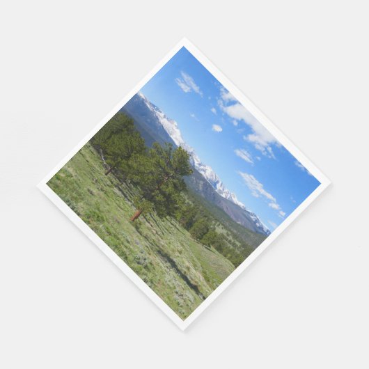 Rocky Mountain Uitzicht Schilderachtig Landschap Servet (Hoek)