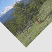 Rocky Mountain Uitzicht Schilderachtig Landschap Tissuepapier (Detail)