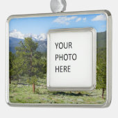 Rocky Mountain Uitzicht Schilderachtig Landschap Verzilverd Omlijst Ornament (Links)