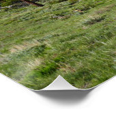 Rocky Mountain View Schitterend Landschap Perfect Poster (Hoek)