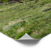 Rocky Mountain View Schitterend Landschap Poster (Hoek)