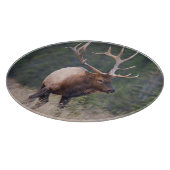 Rocky Mountain-wapiti Snijplank (Hoek)