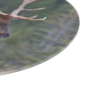 Rocky Mountain-wapiti Snijplank (Hoek)