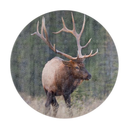 Rocky Mountain-wapiti Snijplank (Voorkant)