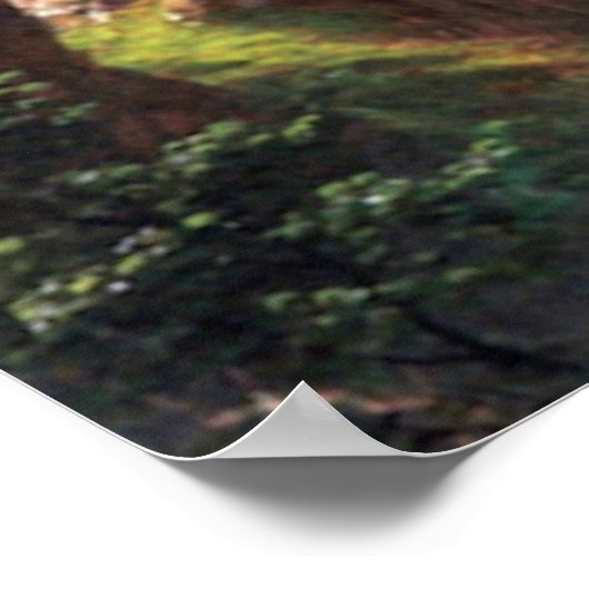 Rocky Mountain Waterfall - Albert Bierstadt Poster (Hoek)