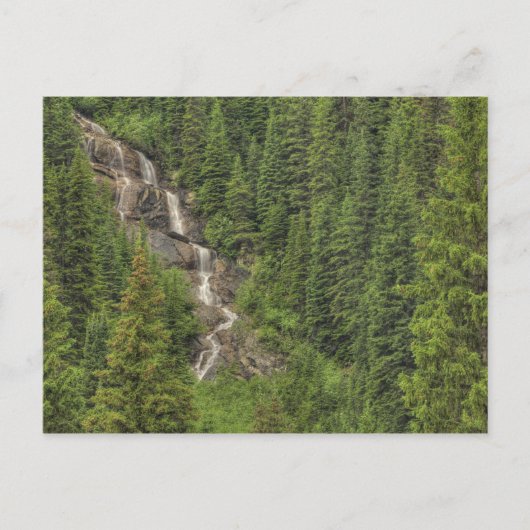 Rocky Mountain Waterfall Briefkaart (Voorkant)