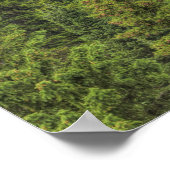 Rocky Mountain Waterfall Poster (Hoek)