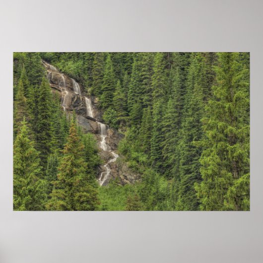 Rocky Mountain Waterfall Poster (Voorkant)