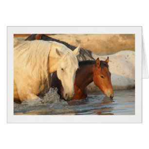 Rocky Mountain Wild Horse en haar baby Note Kaart