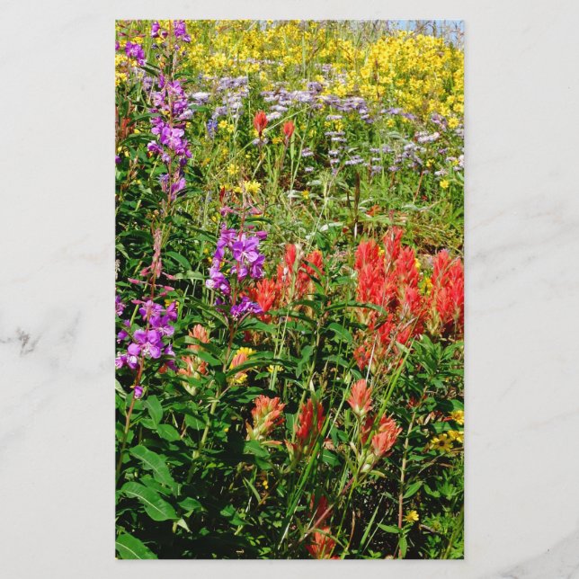 Rocky Mountain Wildbloemen (Voorkant)