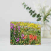 Rocky Mountain Wildbloemen Briefkaart (Staand voorkant)