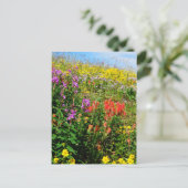 Rocky Mountain Wildbloemen Briefkaart (Staand voorkant)