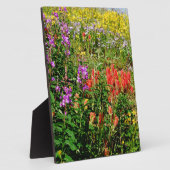 Rocky Mountain Wildbloemen Fotoplaat (Zijkant)