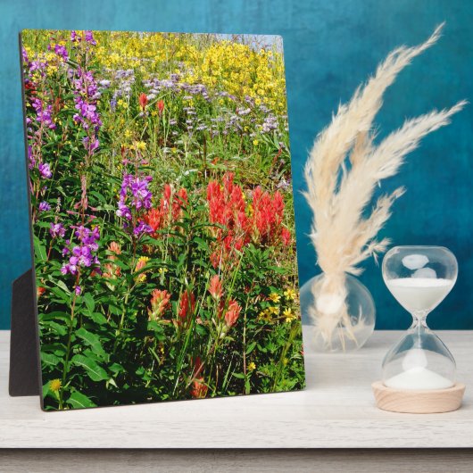 Rocky Mountain Wildbloemen Fotoplaat (Zijkant)