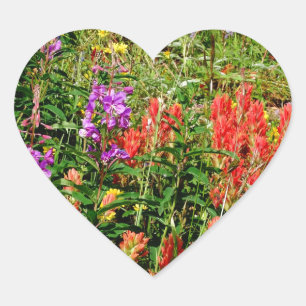 Rocky Mountain Wildbloemen Hart Sticker